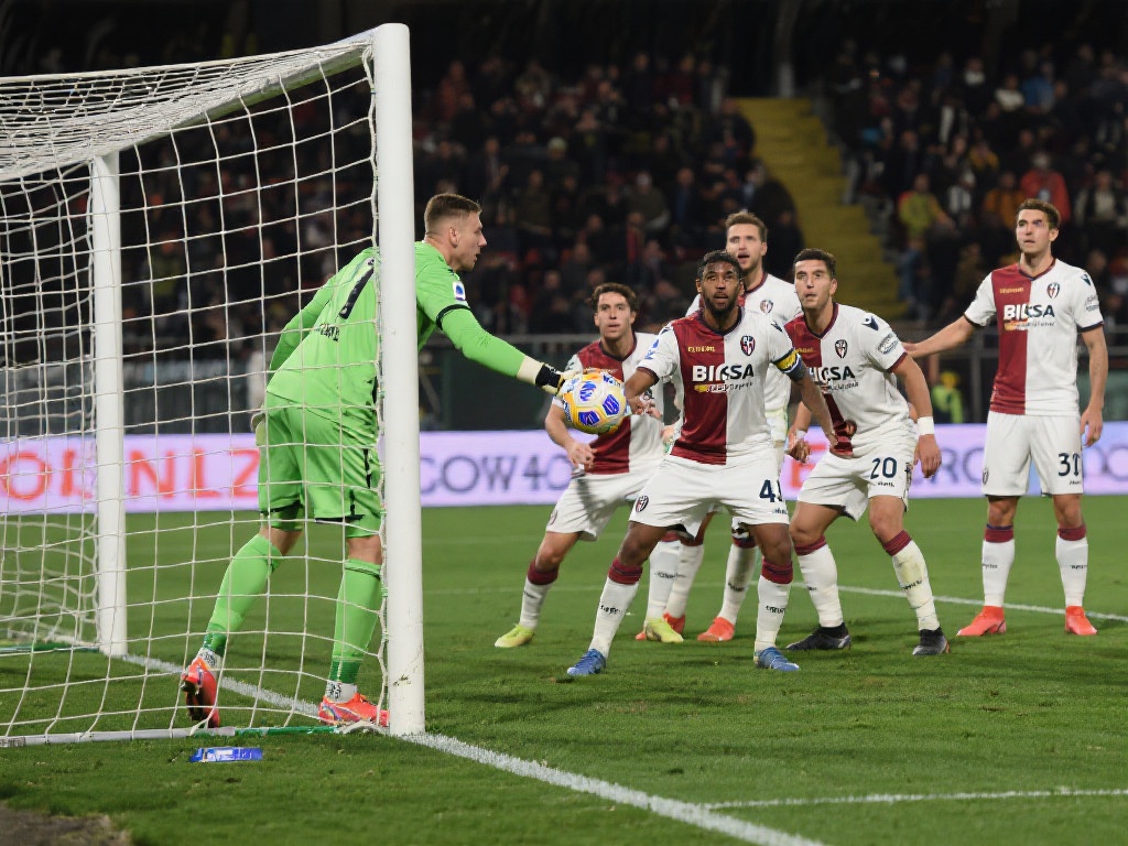 映了双方在 映了双方在