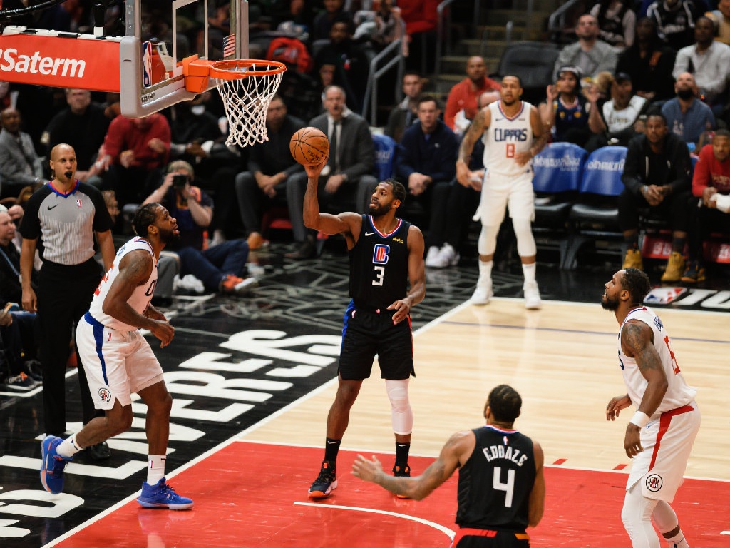 的参考指南 的参考指南